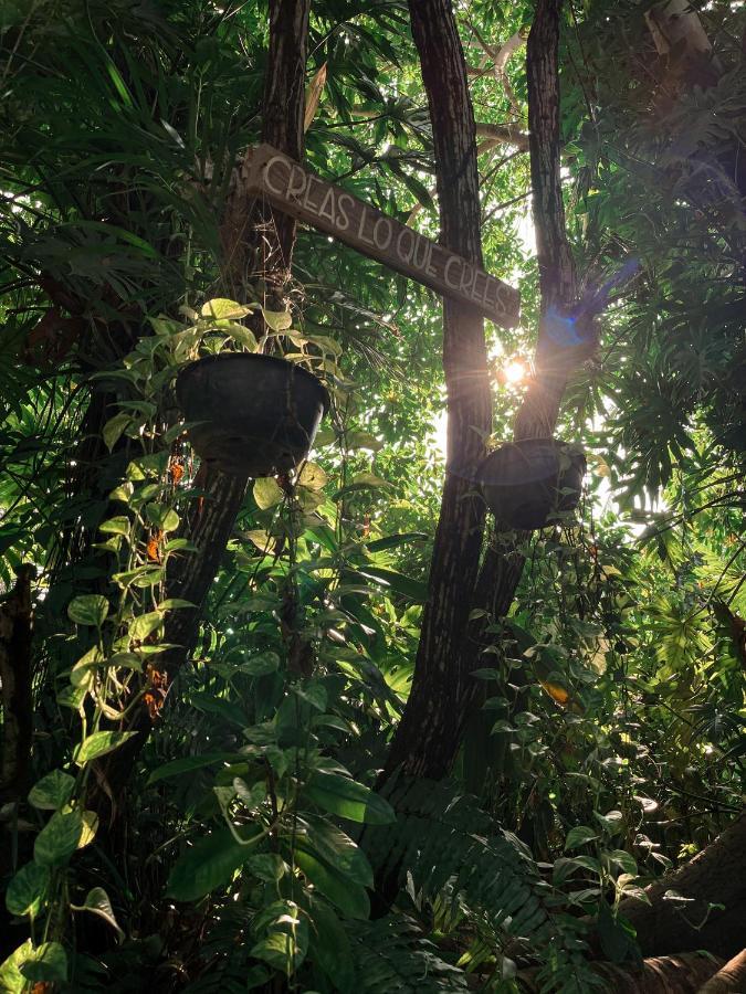 阿卡普尔科Jardin Secreto Centro Holistico别墅 外观 照片