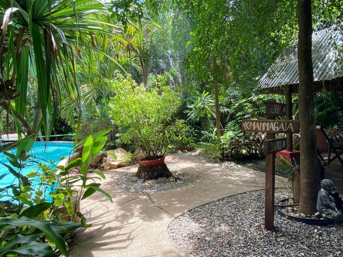 阿卡普尔科Jardin Secreto Centro Holistico别墅 外观 照片