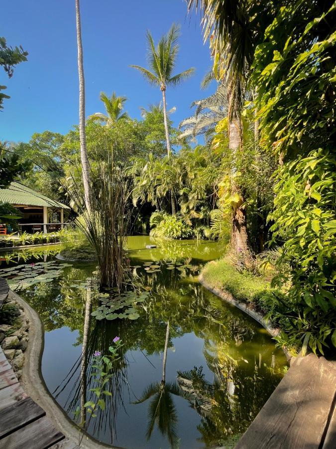 阿卡普尔科Jardin Secreto Centro Holistico别墅 外观 照片