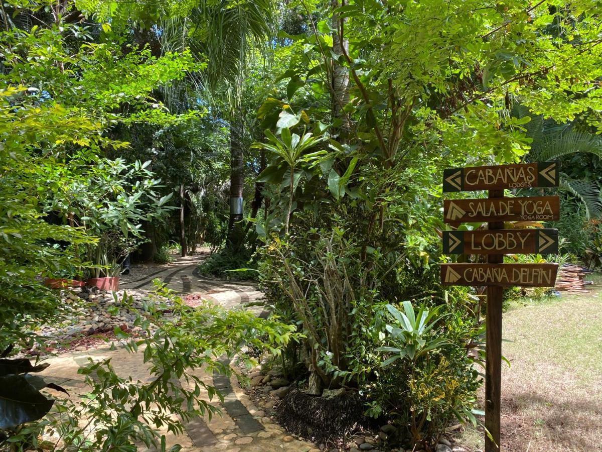 阿卡普尔科Jardin Secreto Centro Holistico别墅 外观 照片