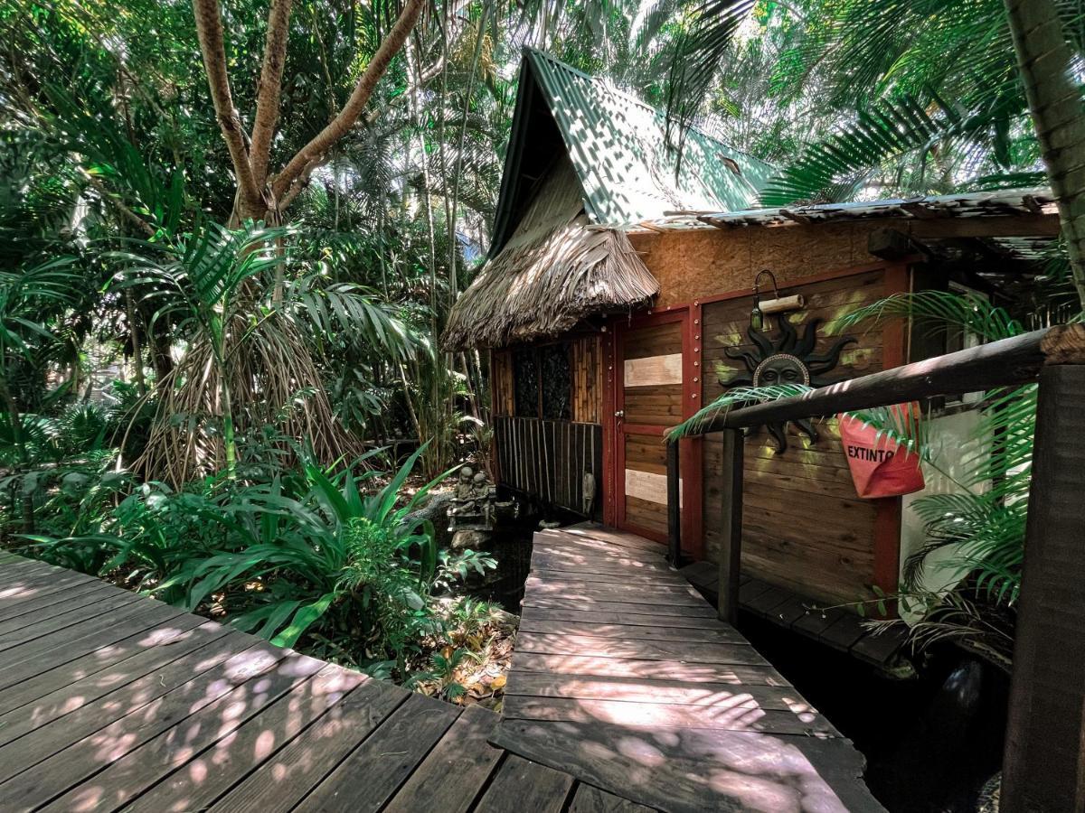 阿卡普尔科Jardin Secreto Centro Holistico别墅 外观 照片