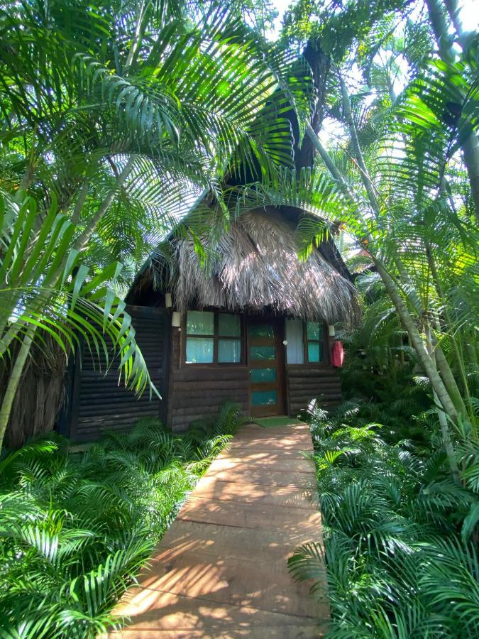 阿卡普尔科Jardin Secreto Centro Holistico别墅 外观 照片